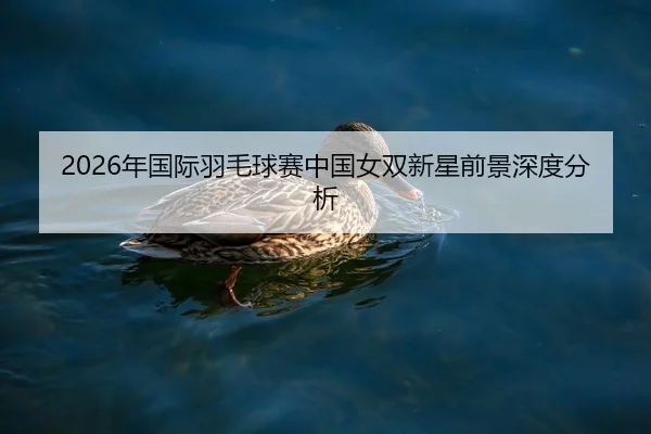 2026年国际羽毛球赛中国女双新星前景深度分析